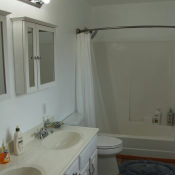 A bathroom with two sinks and a tub.