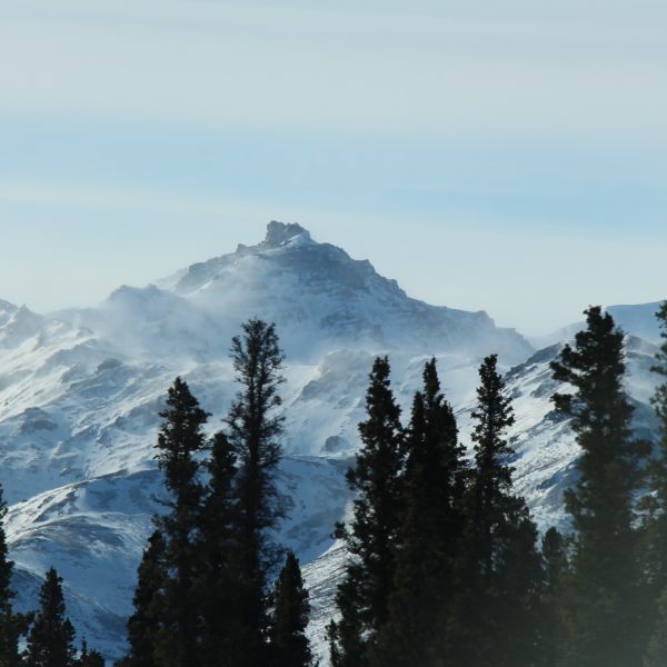 A mountain with snow on top and trees in the foreground.